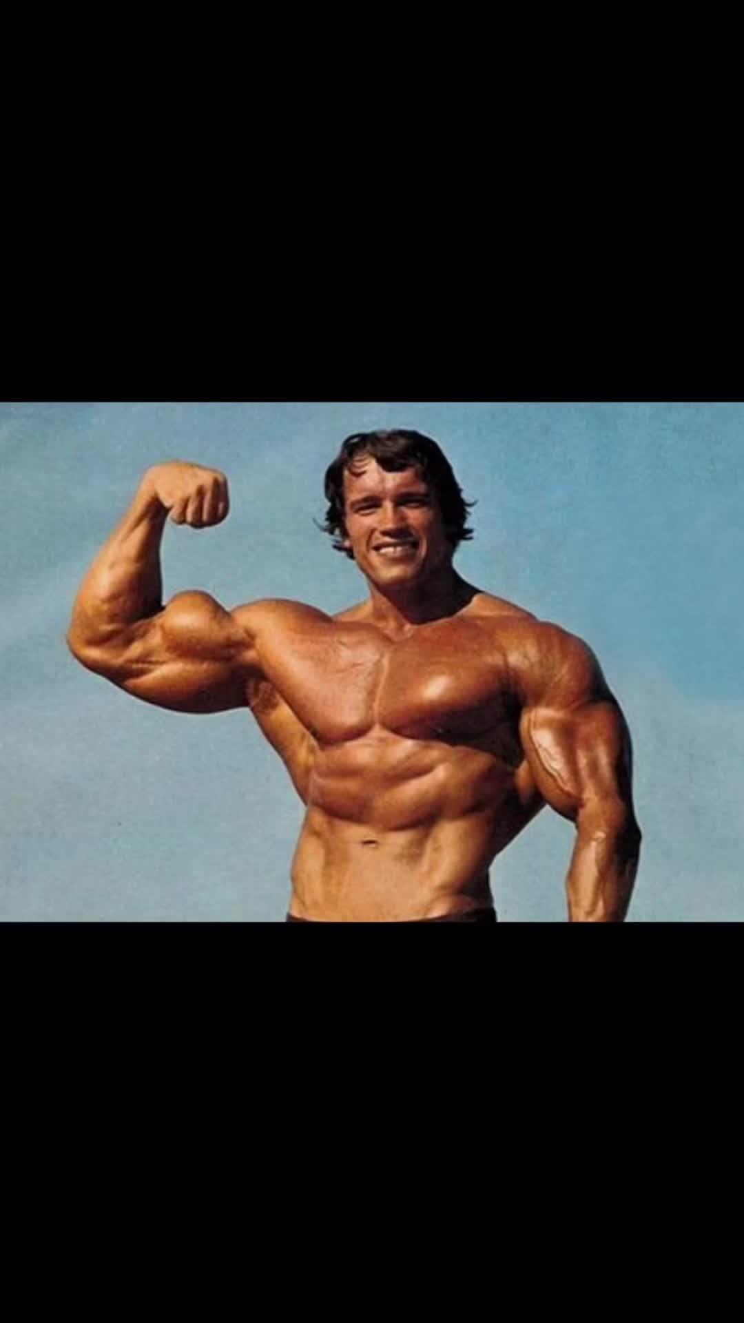 @Alpha Motivation
