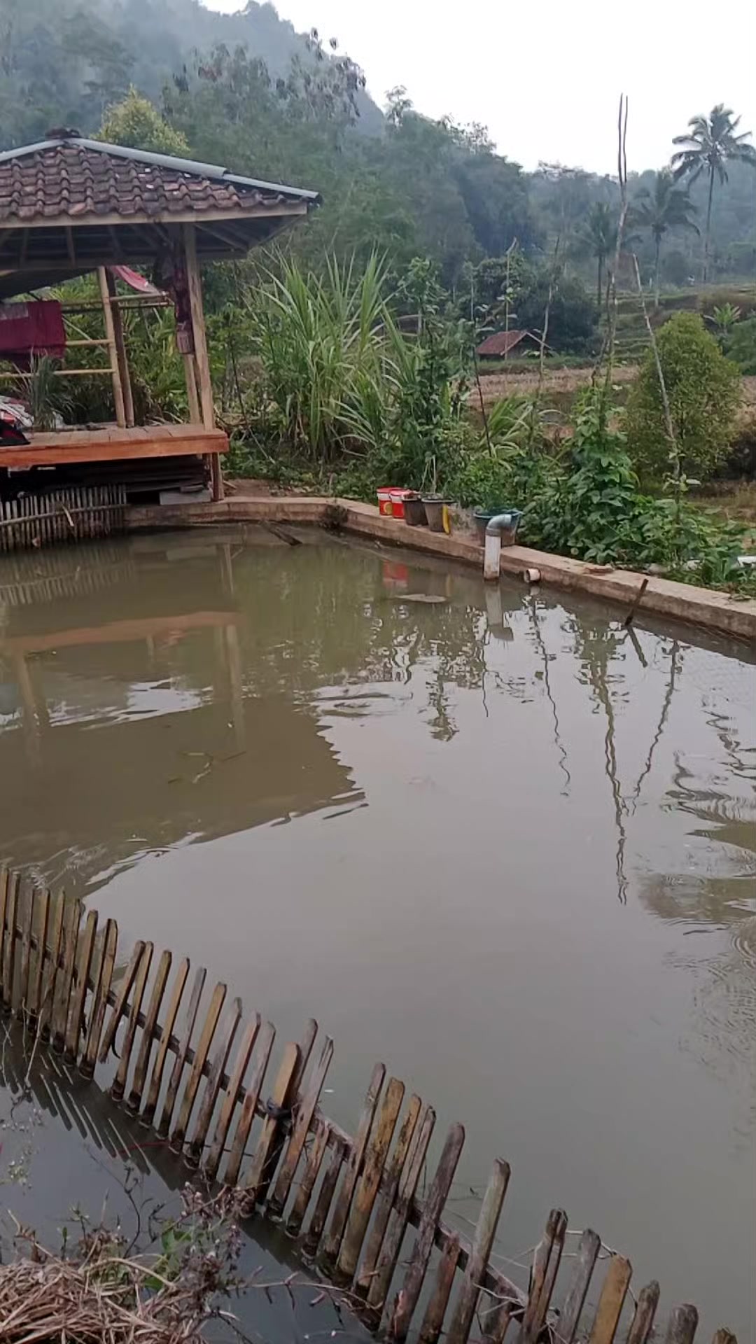 @Dari kontak anda