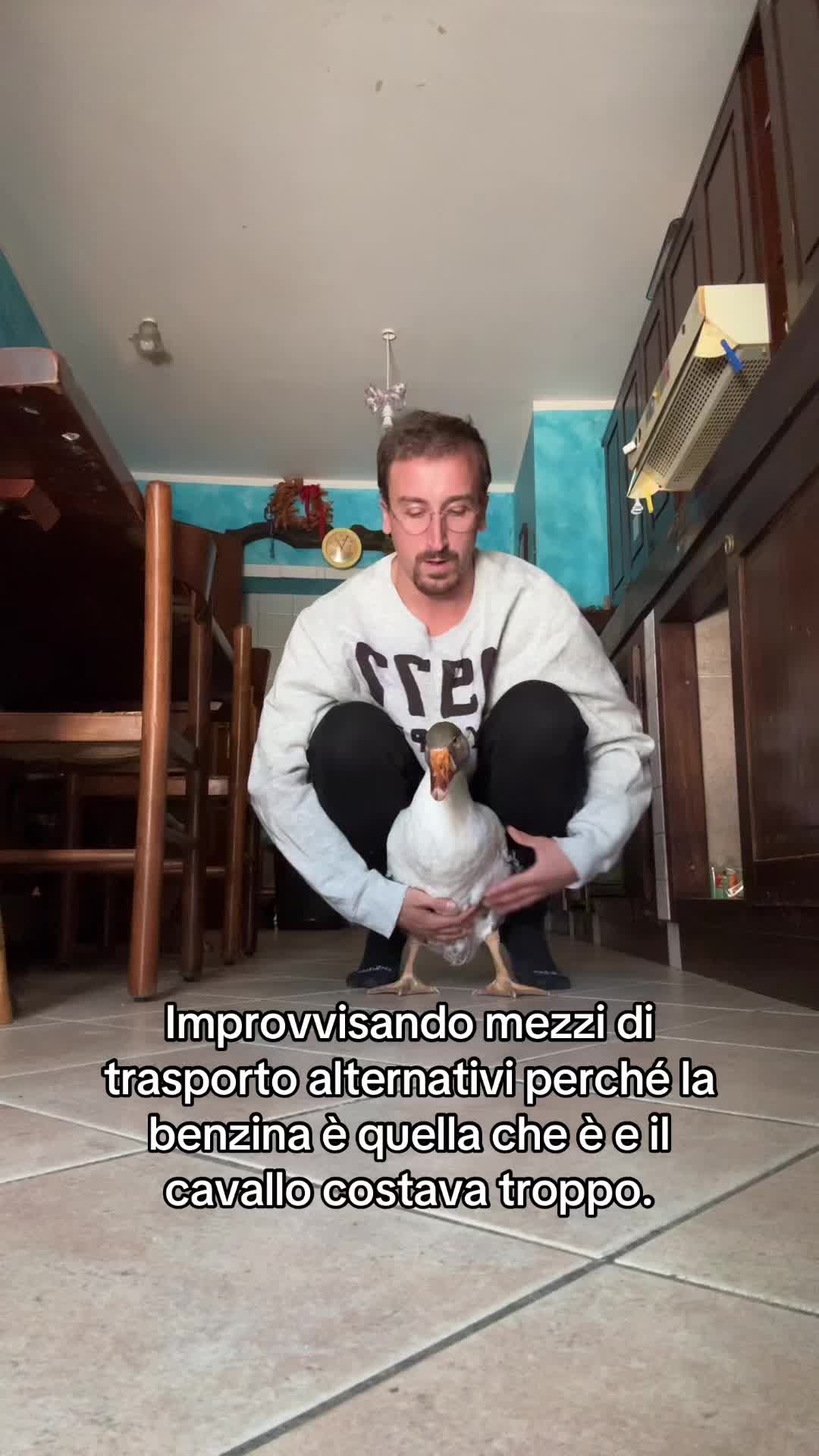 @AlbertoMaurizi