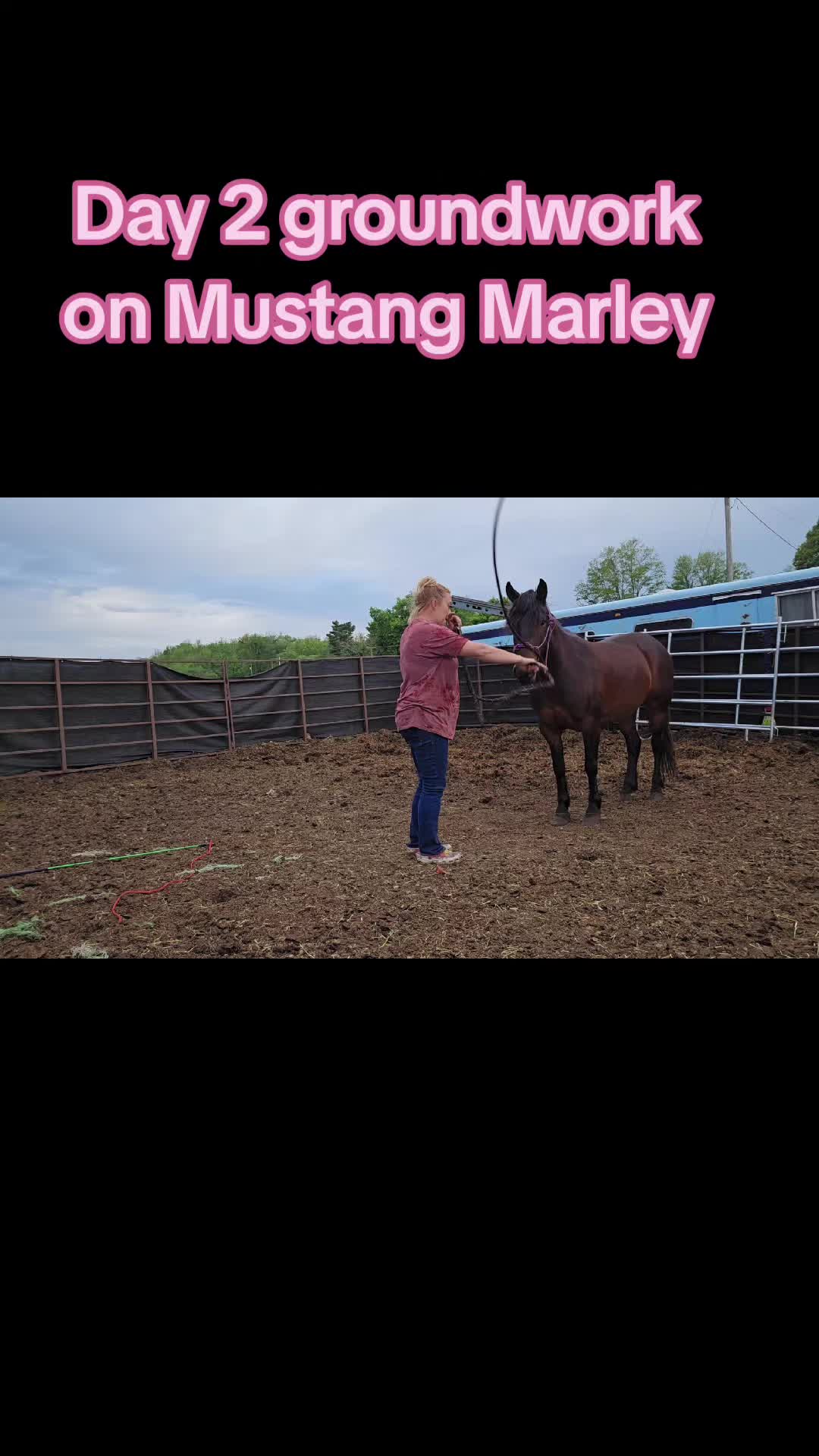 @Small Town Farm LLC