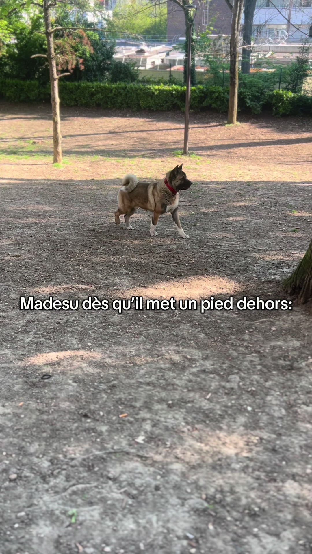 @Madesu et Jessy🐻