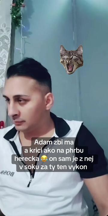 @kalemačky🐈⬛