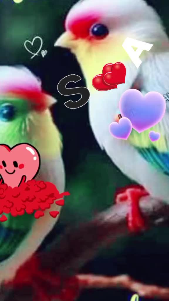 @🦋🦋Anu🦋🦋S🫶A