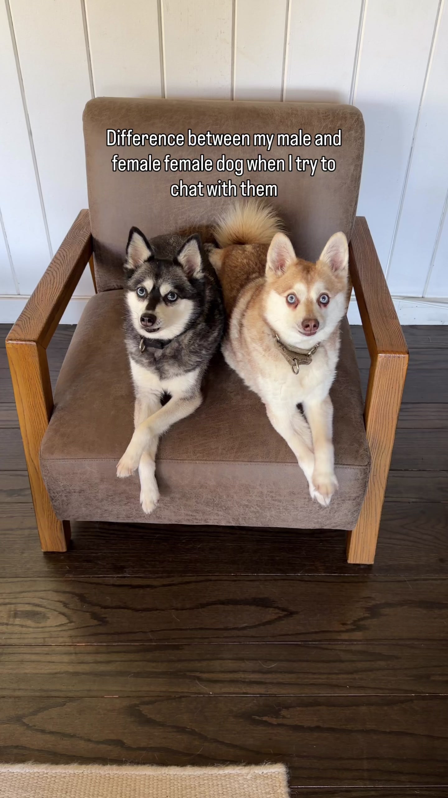 @lifewithkleekai