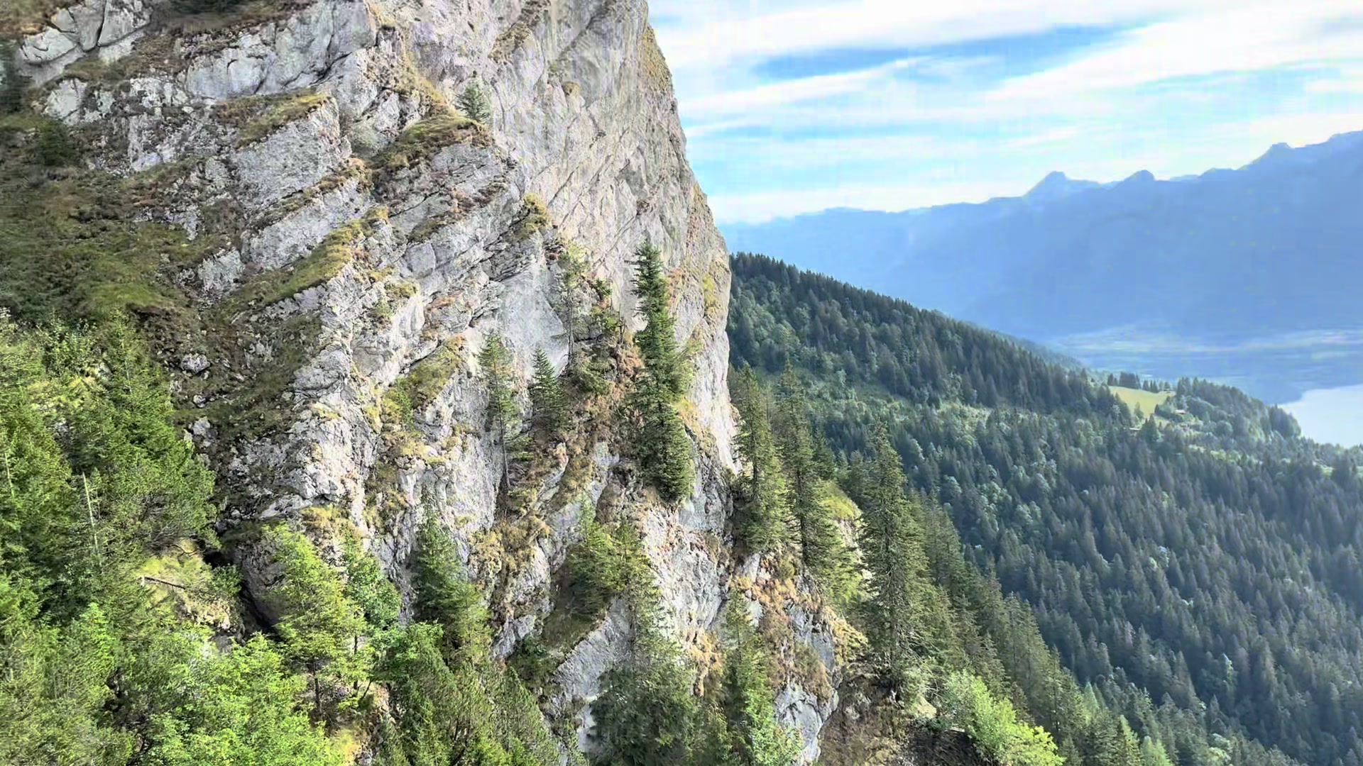@Schyzo Swiss