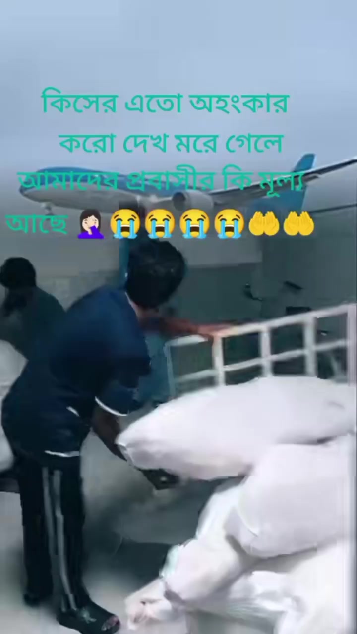 @momo33