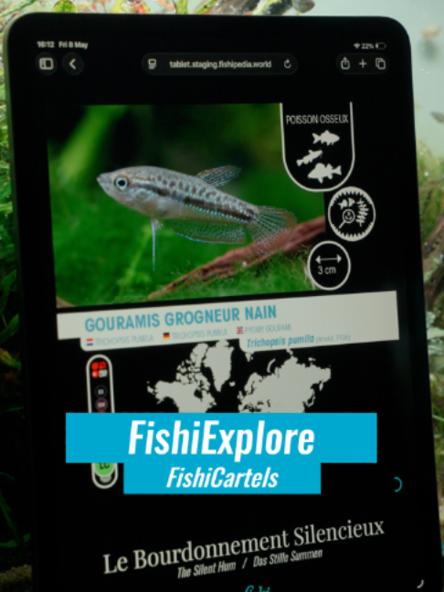 @Fishipedia world