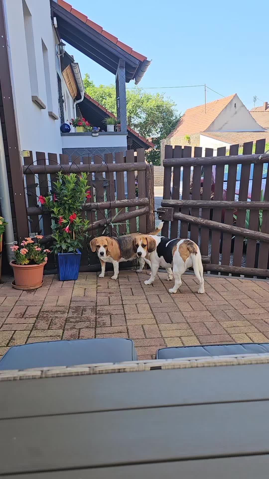 @Tanja 2904