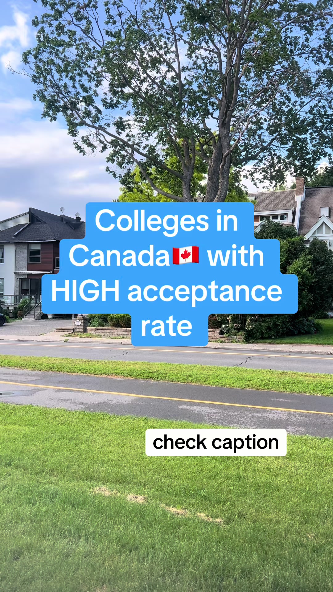 @Your Surest Study Abroad Plug