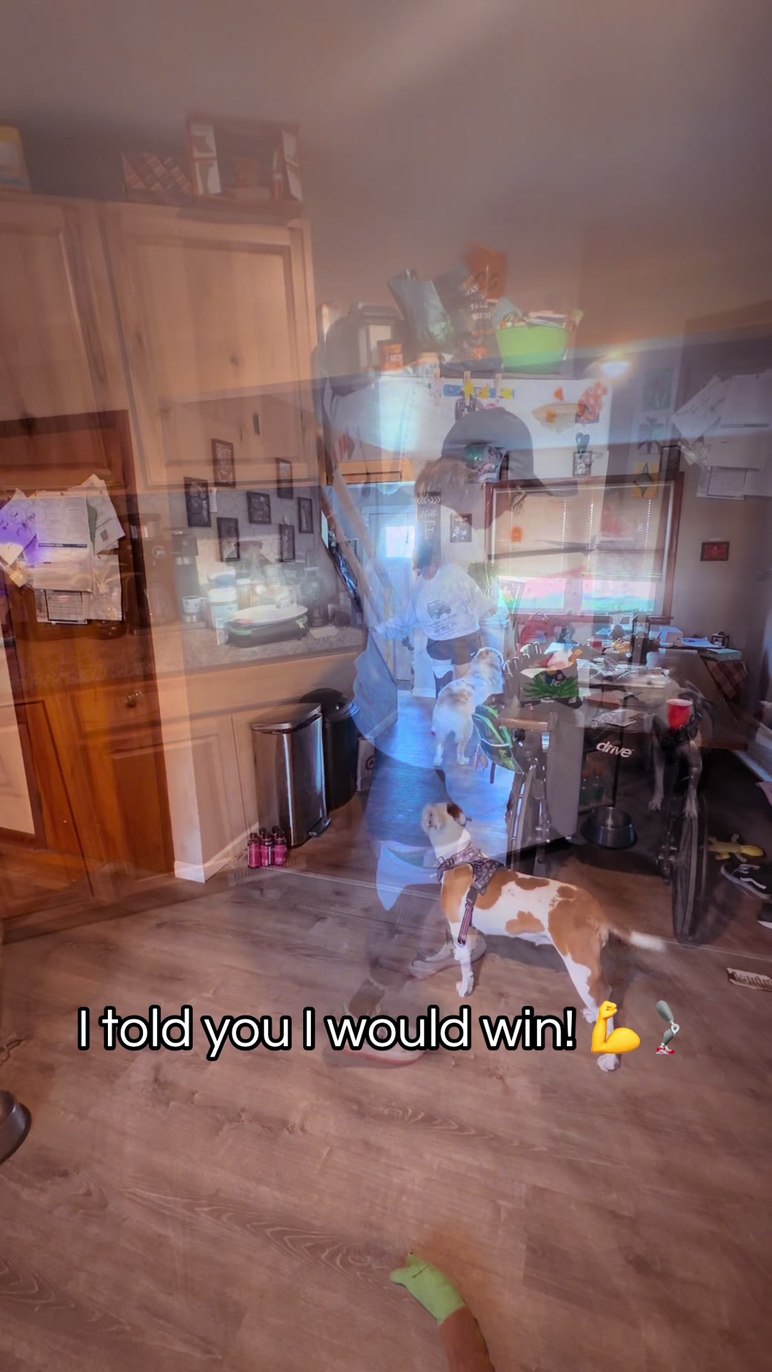 @ℙ𝕝𝕒𝕟𝕥ℚ𝕦𝕖𝕖𝕟🍃🔥💨