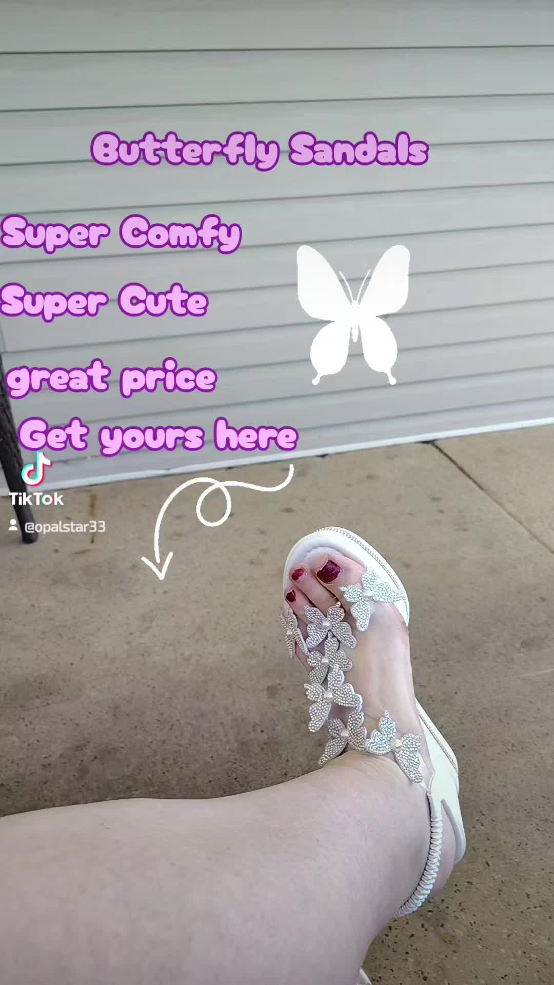 @Butterfly Sanctuary 333