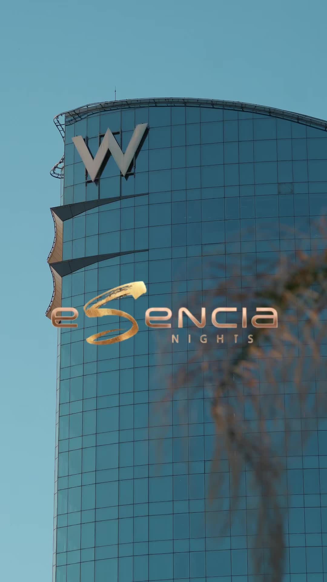 @Esencia Nights