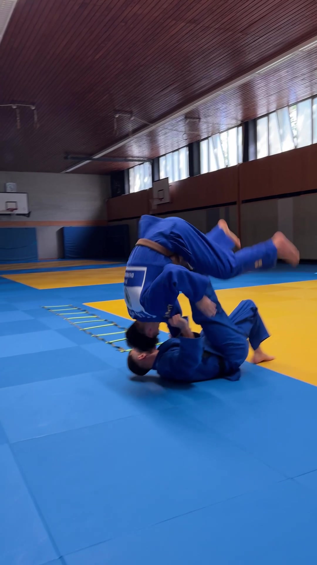 @Cyber-Judoka
