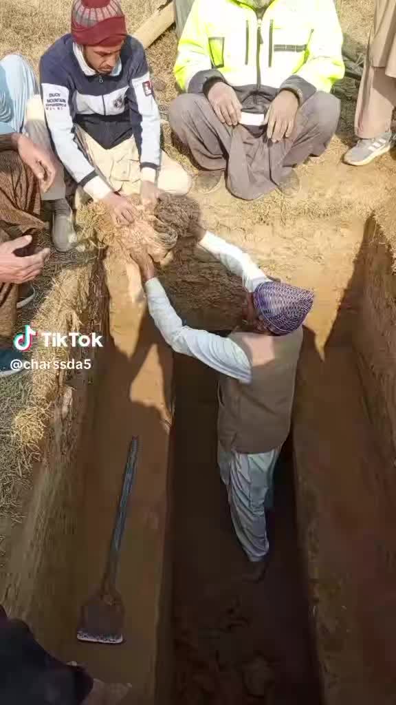 @hamzakhanh04