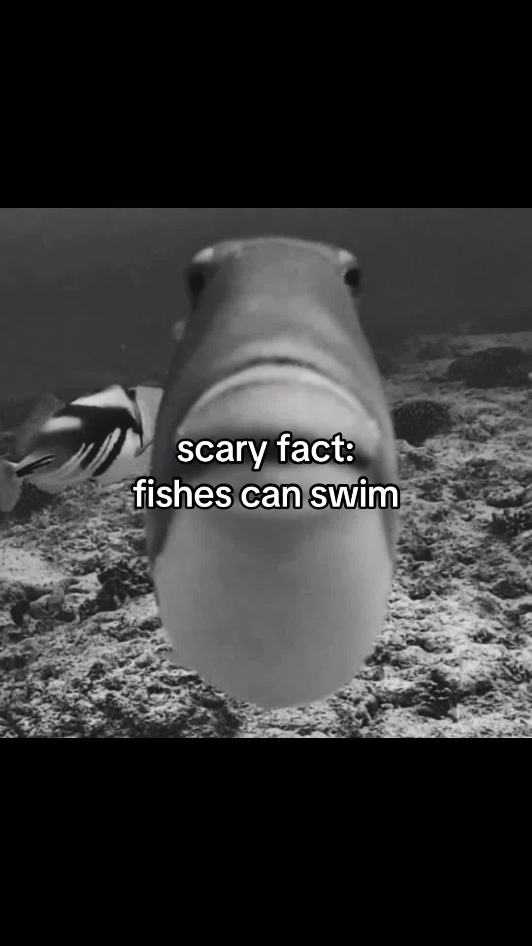 @secretlifeofsomeone