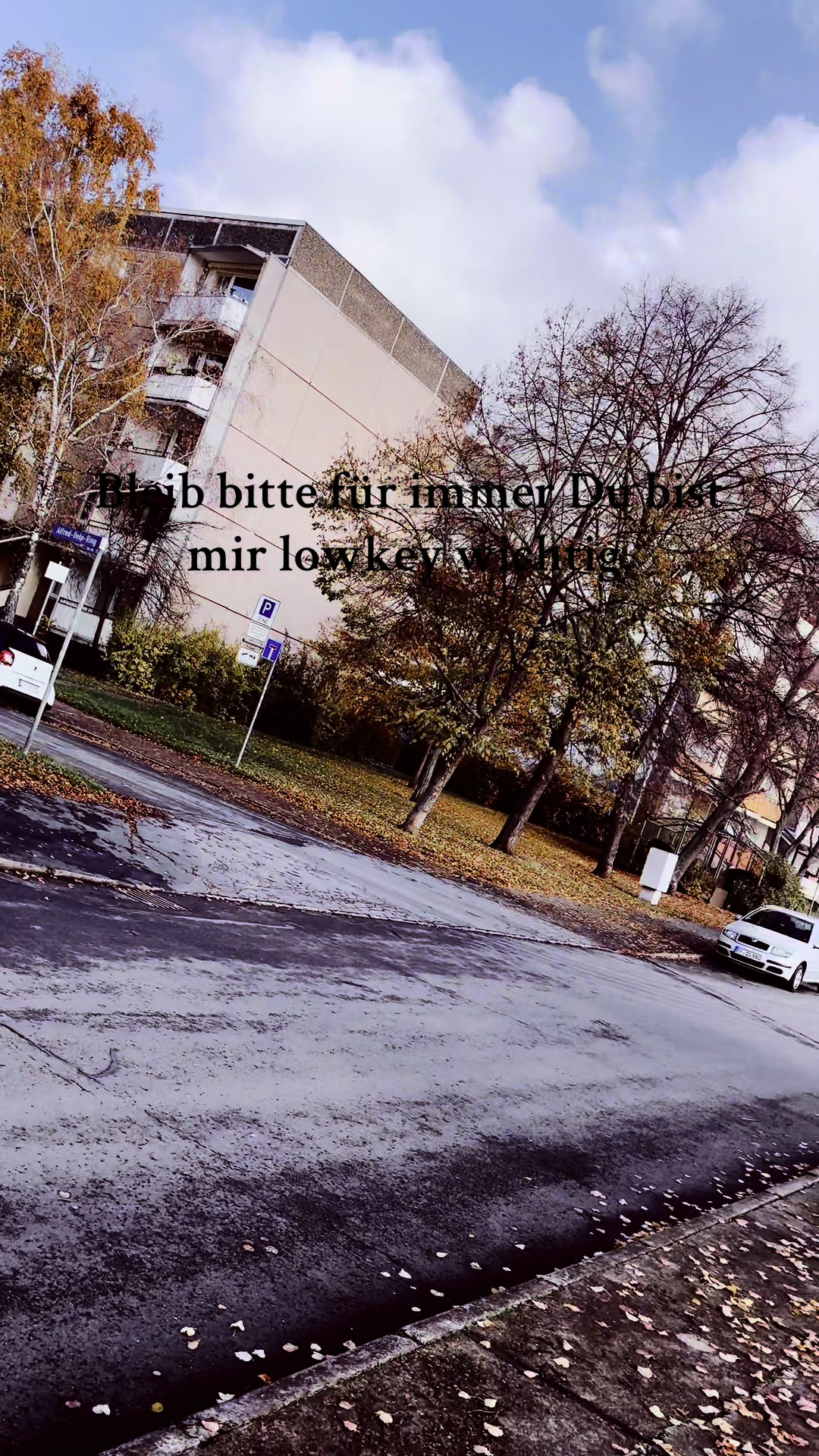 @LEON