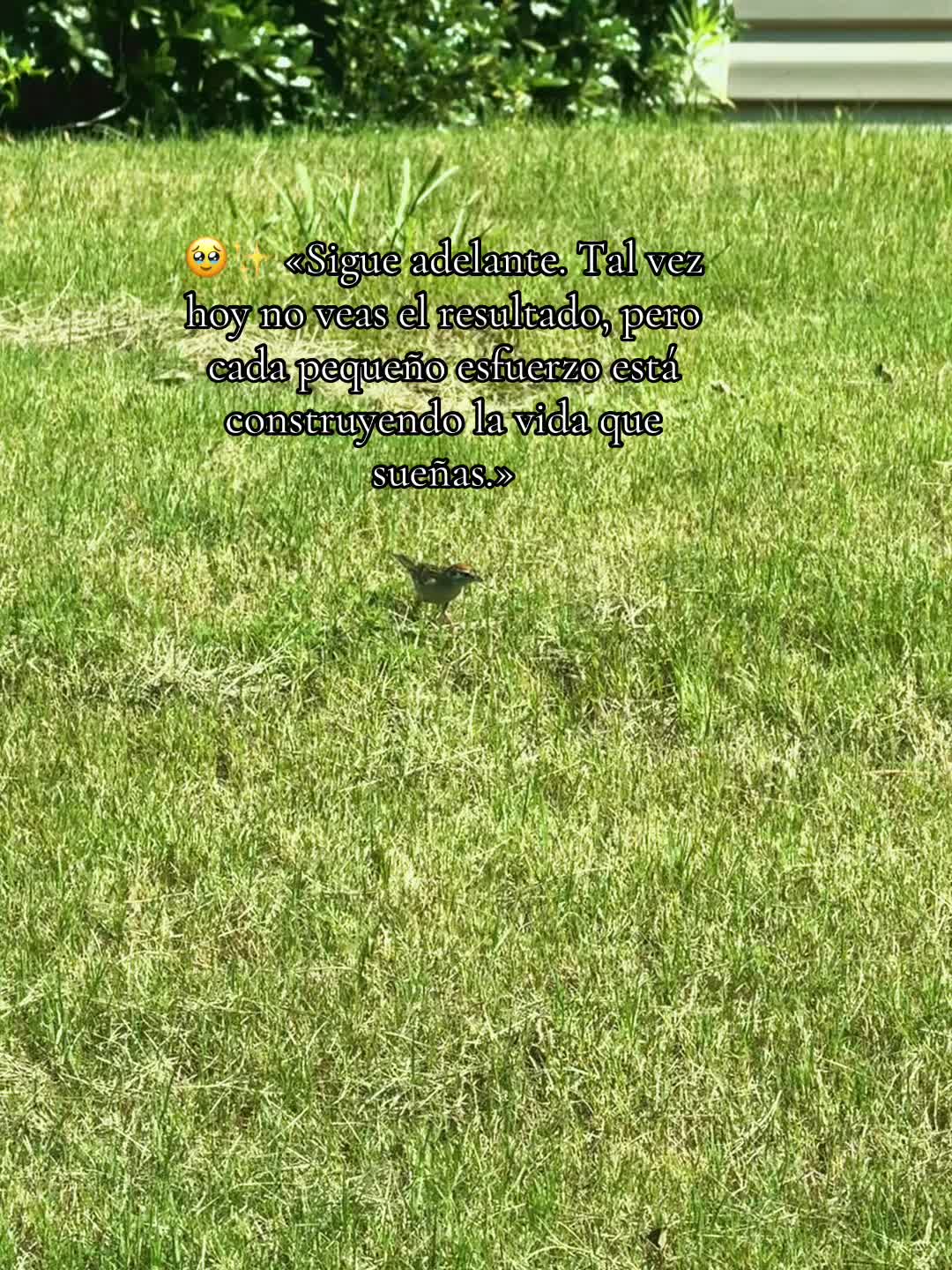 @Nan&iuml;