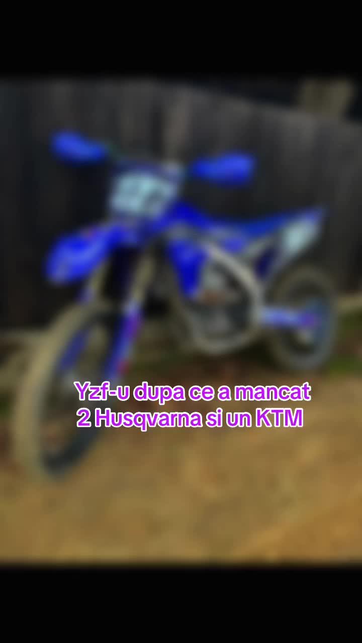 @Mitza Canjeu