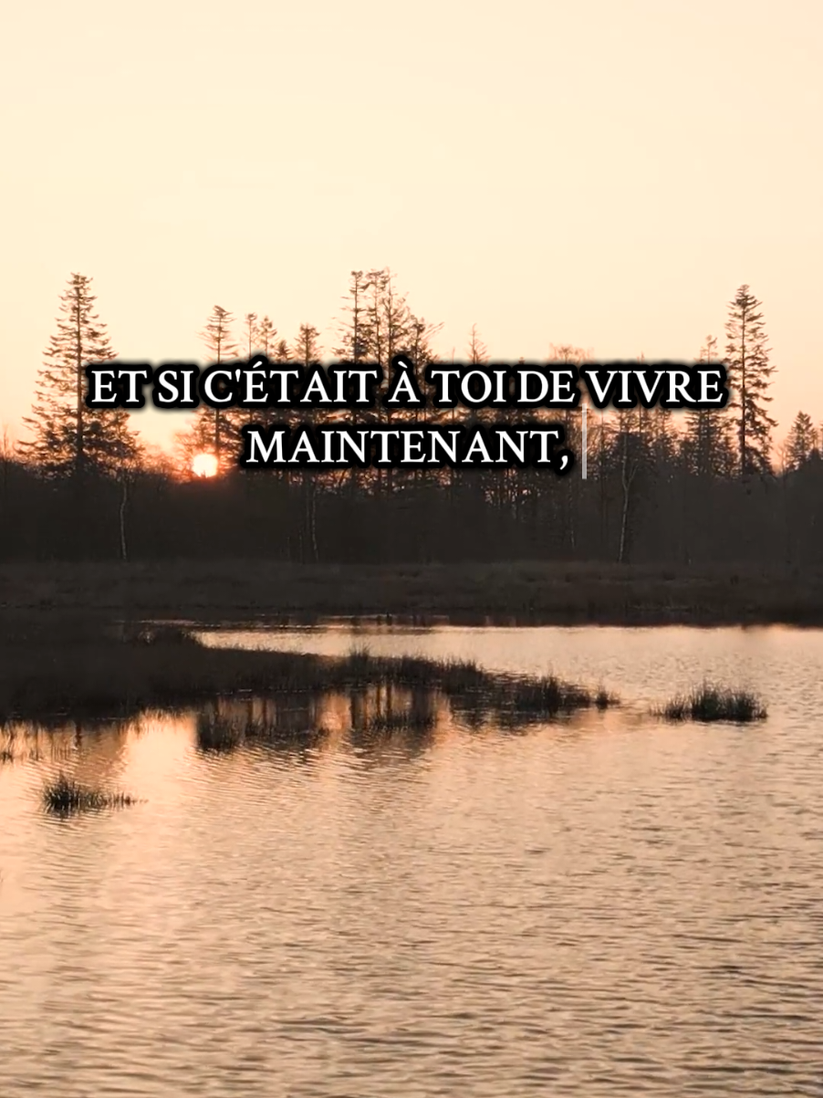@Citations26