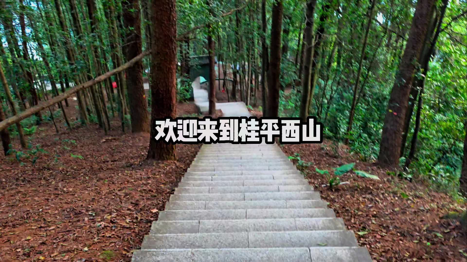 @can