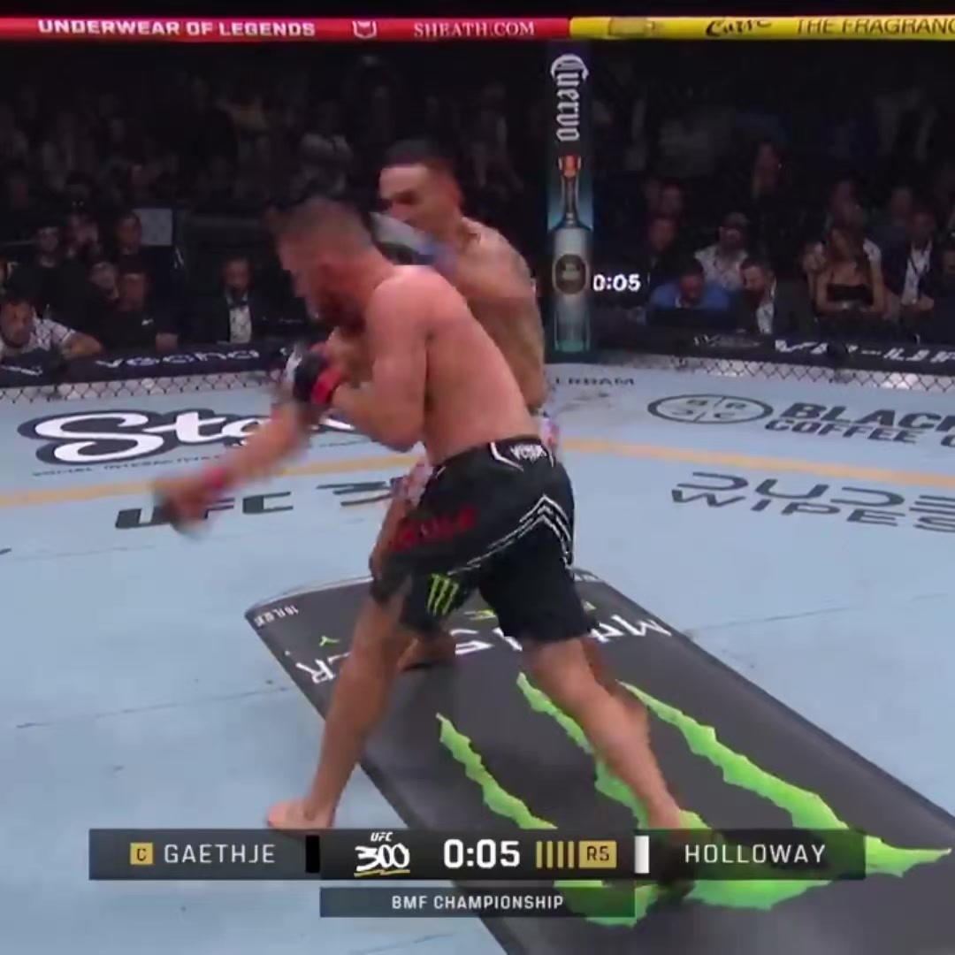 @UFC maniac