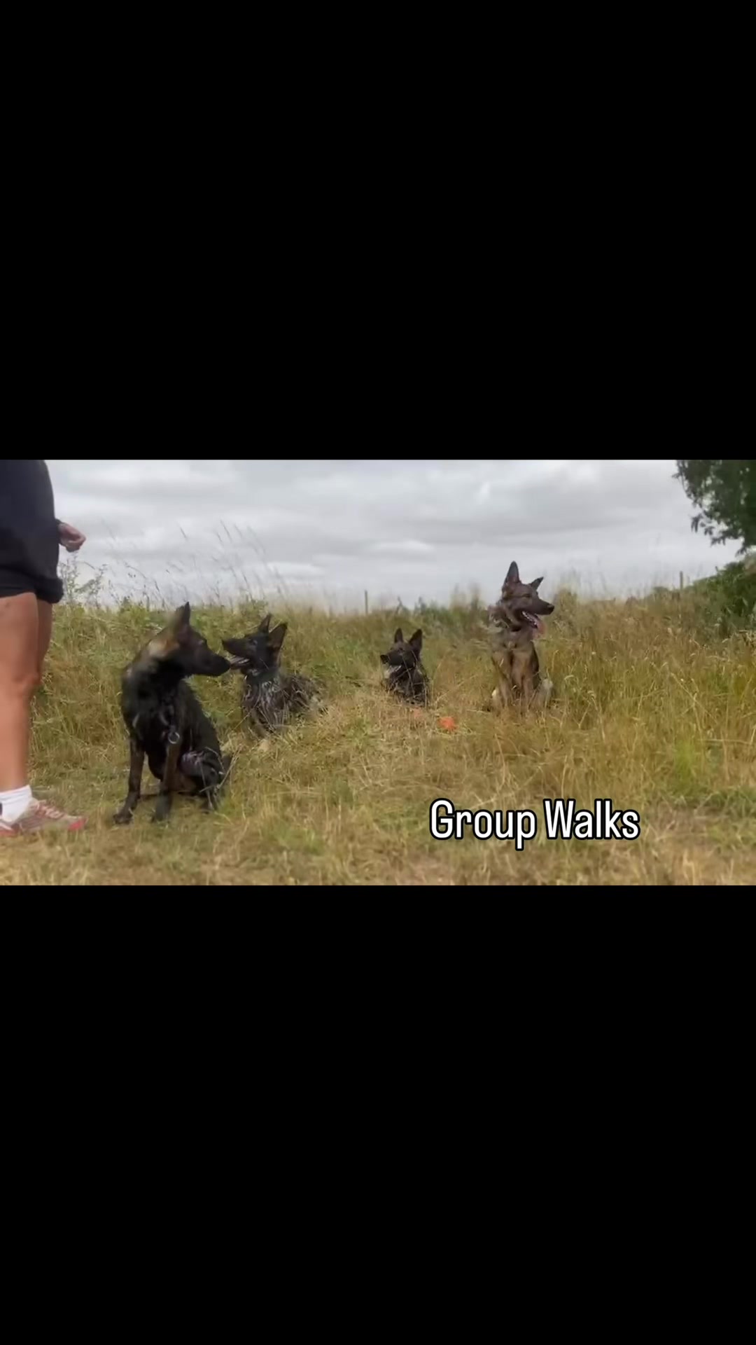 @Vonbekkas GSD