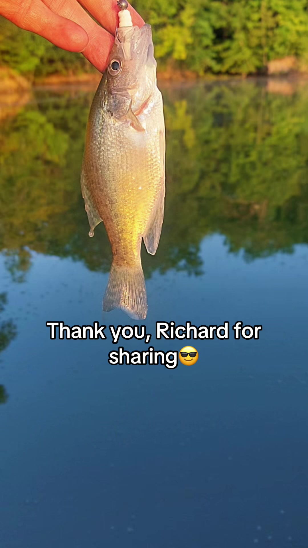 @Dave’s Lazy Baits