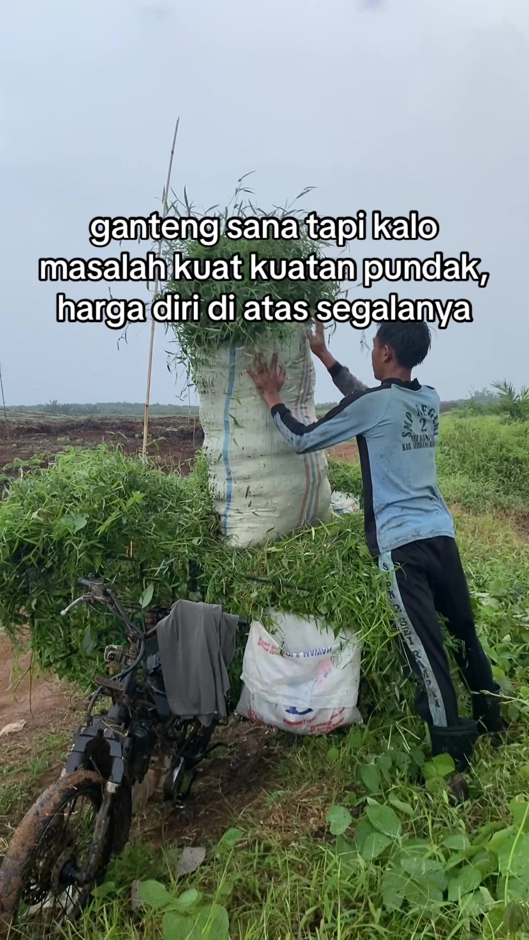 @ngaritboy