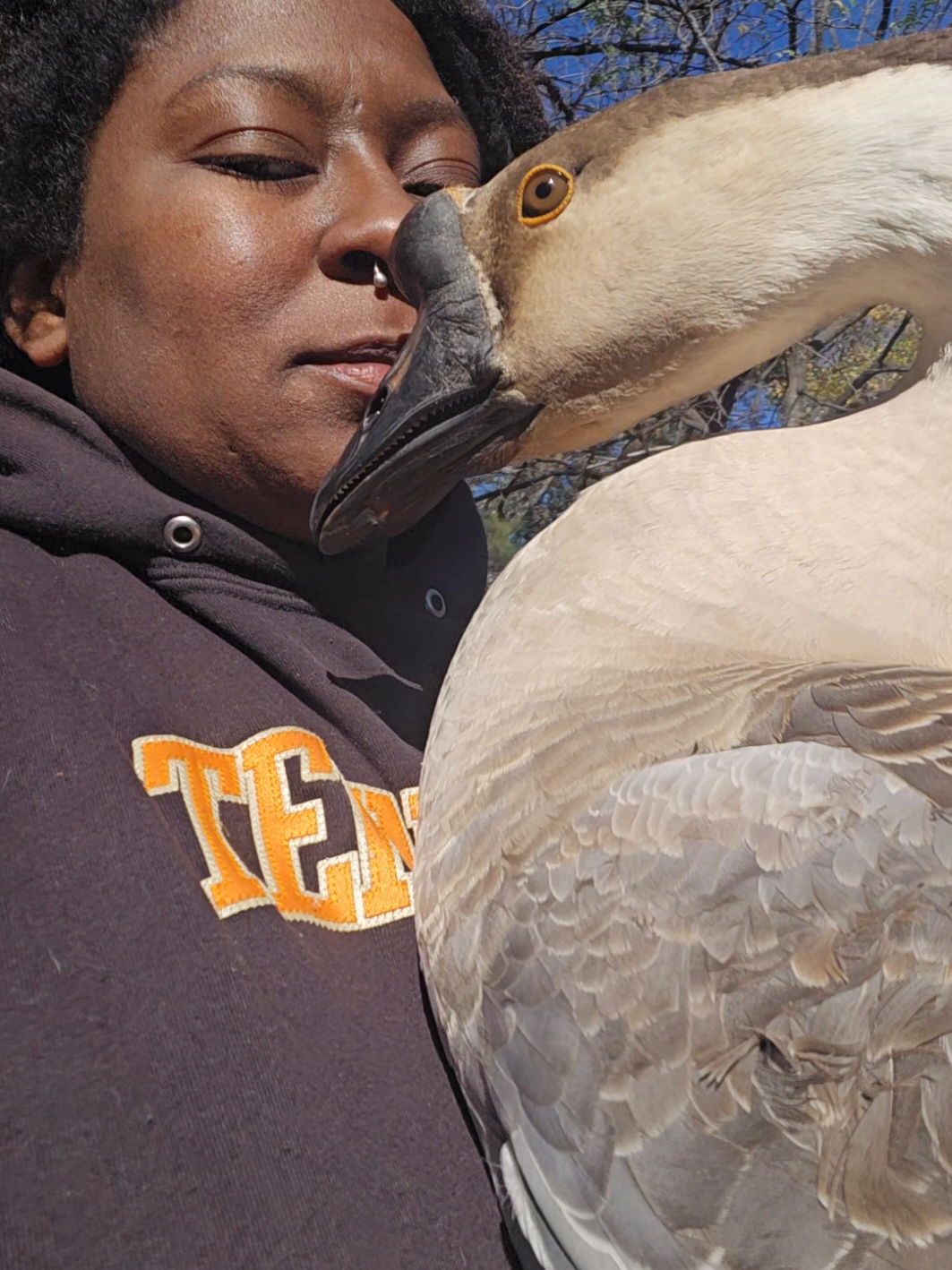 @Maple