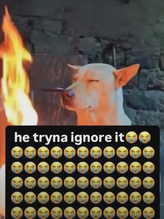 @Know Your Meme