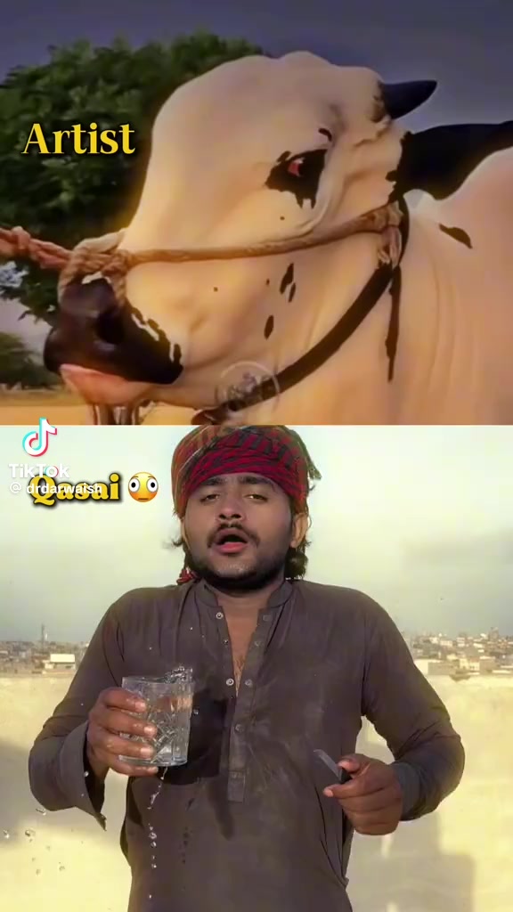 @rihan malik