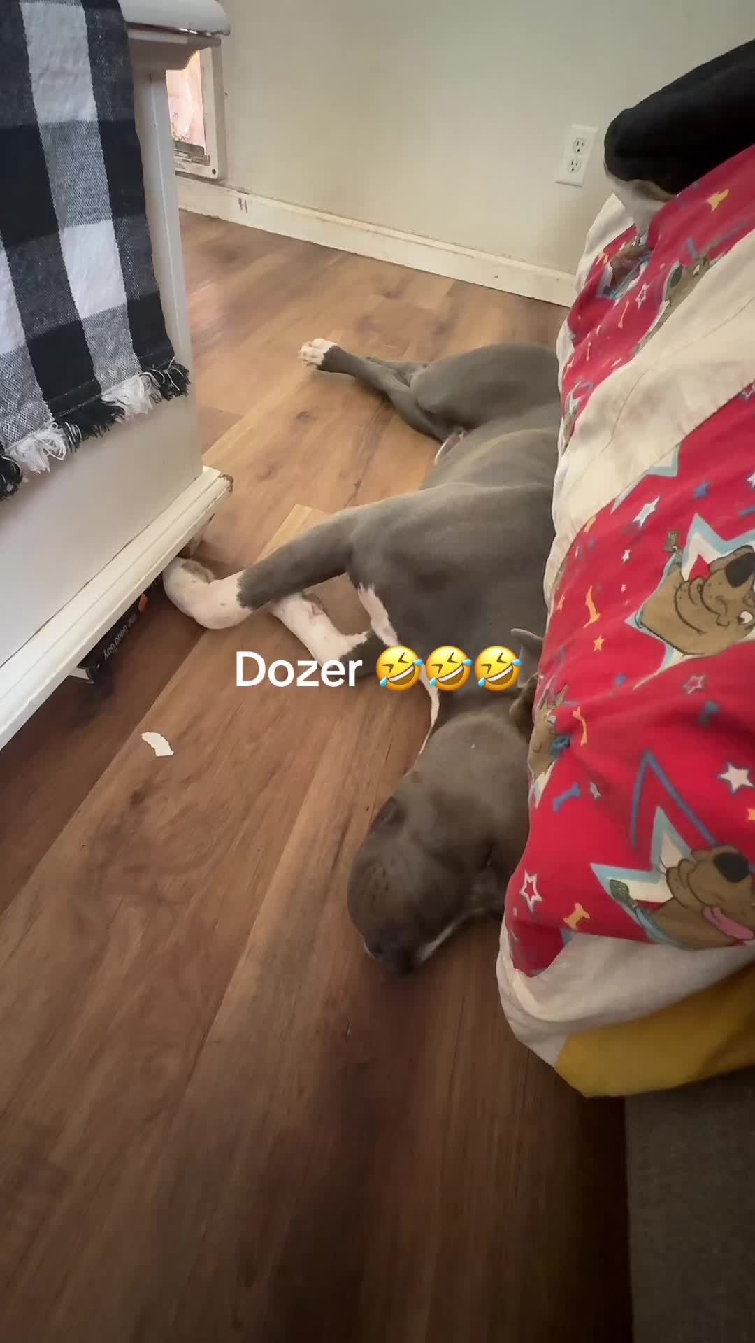 @MutherTruckinMaMA