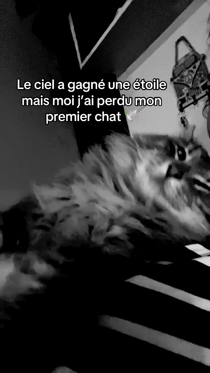 @ËZAKEEM ENOLUX 🤍