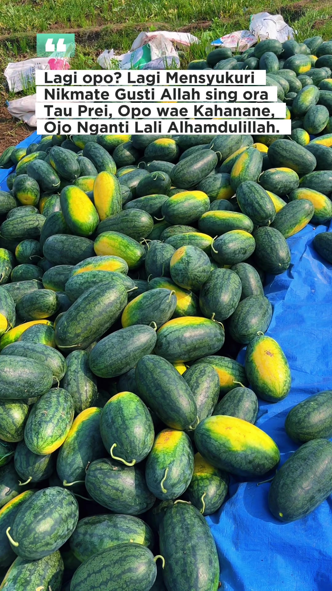 @Laras Buah