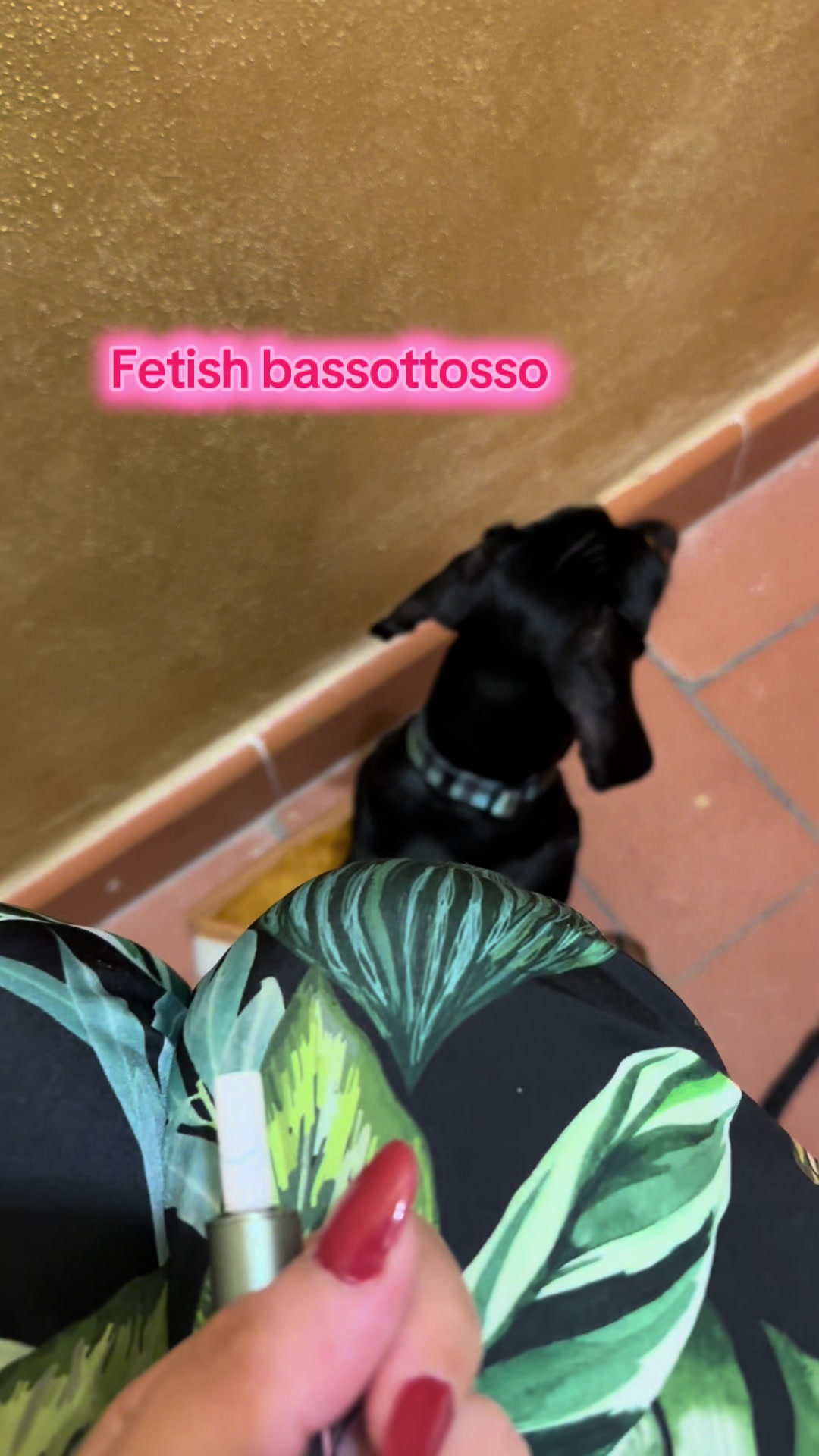 @Ippo_ettore_bettino BASSOTTI
