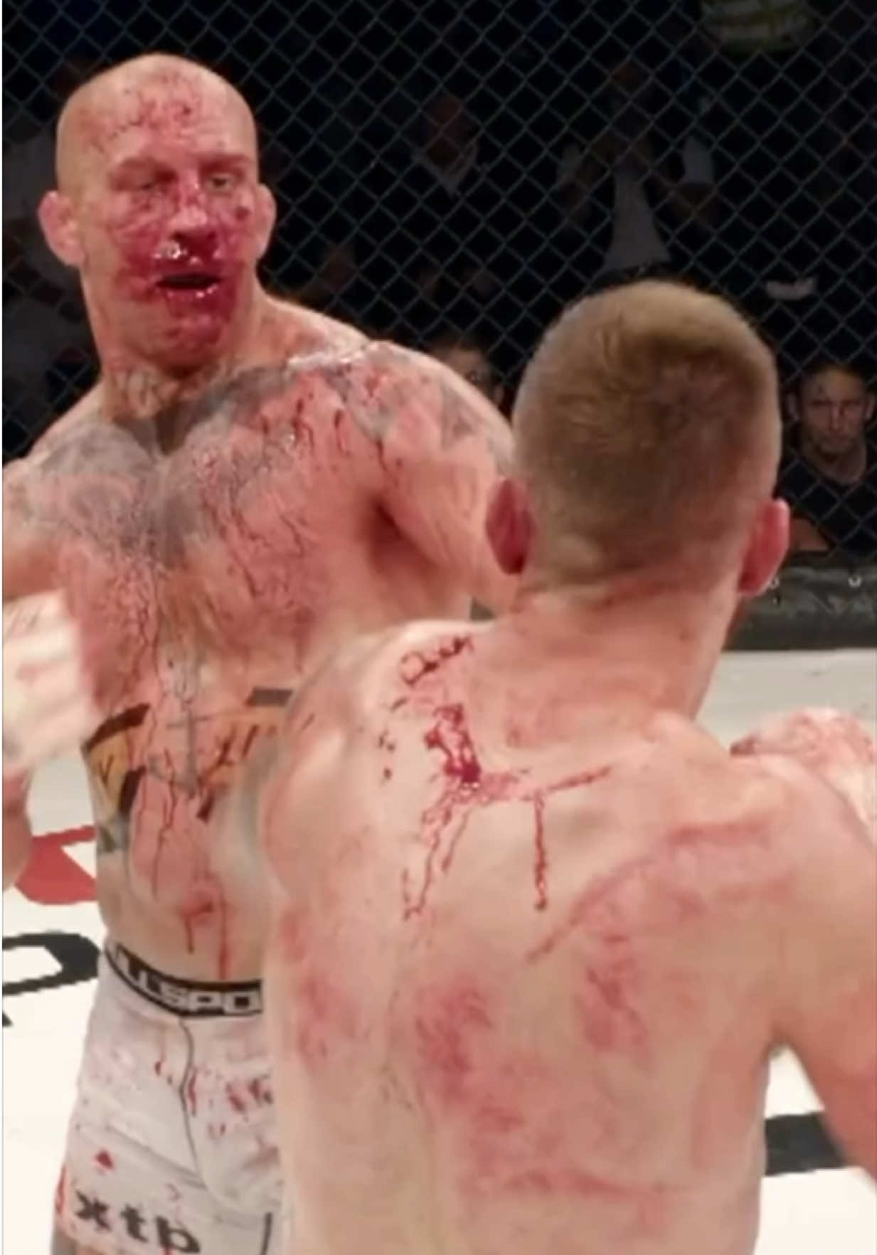 @FightingLab