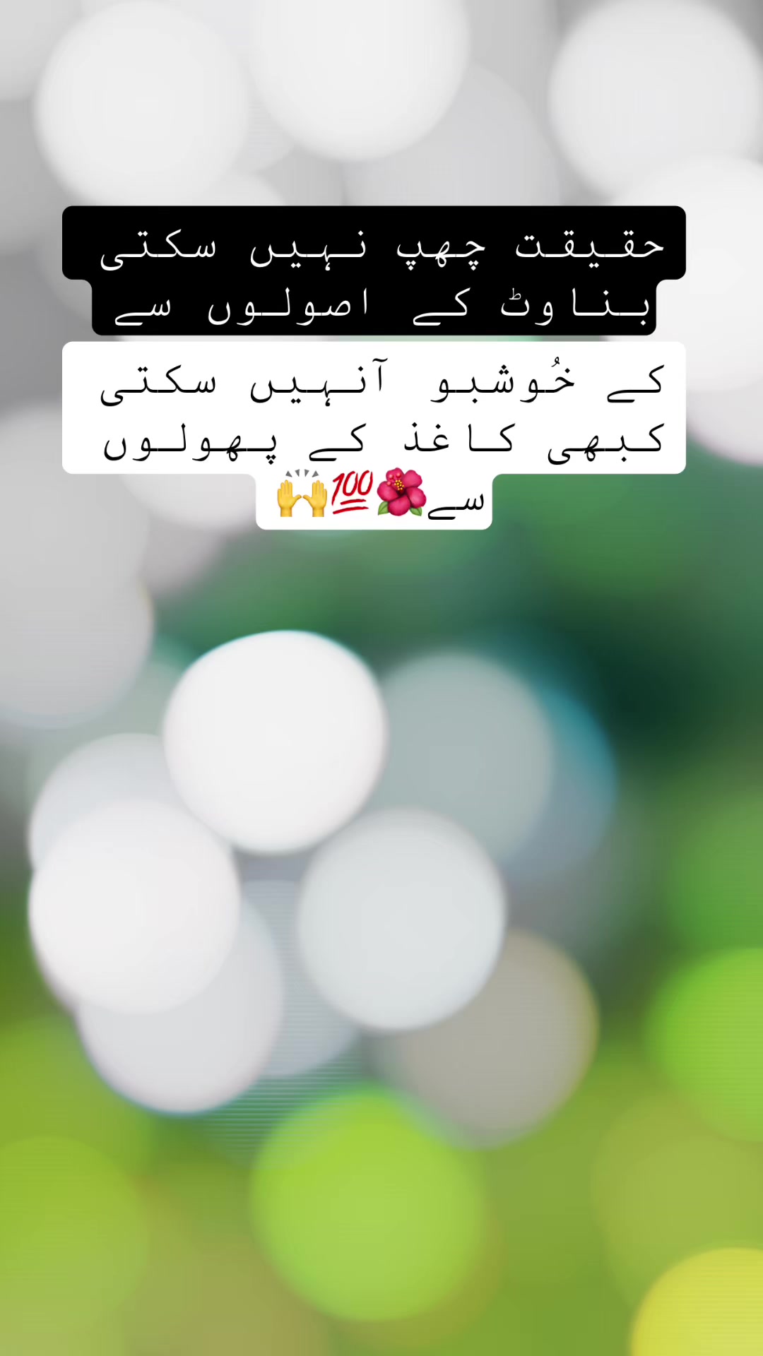 @alihamza10005