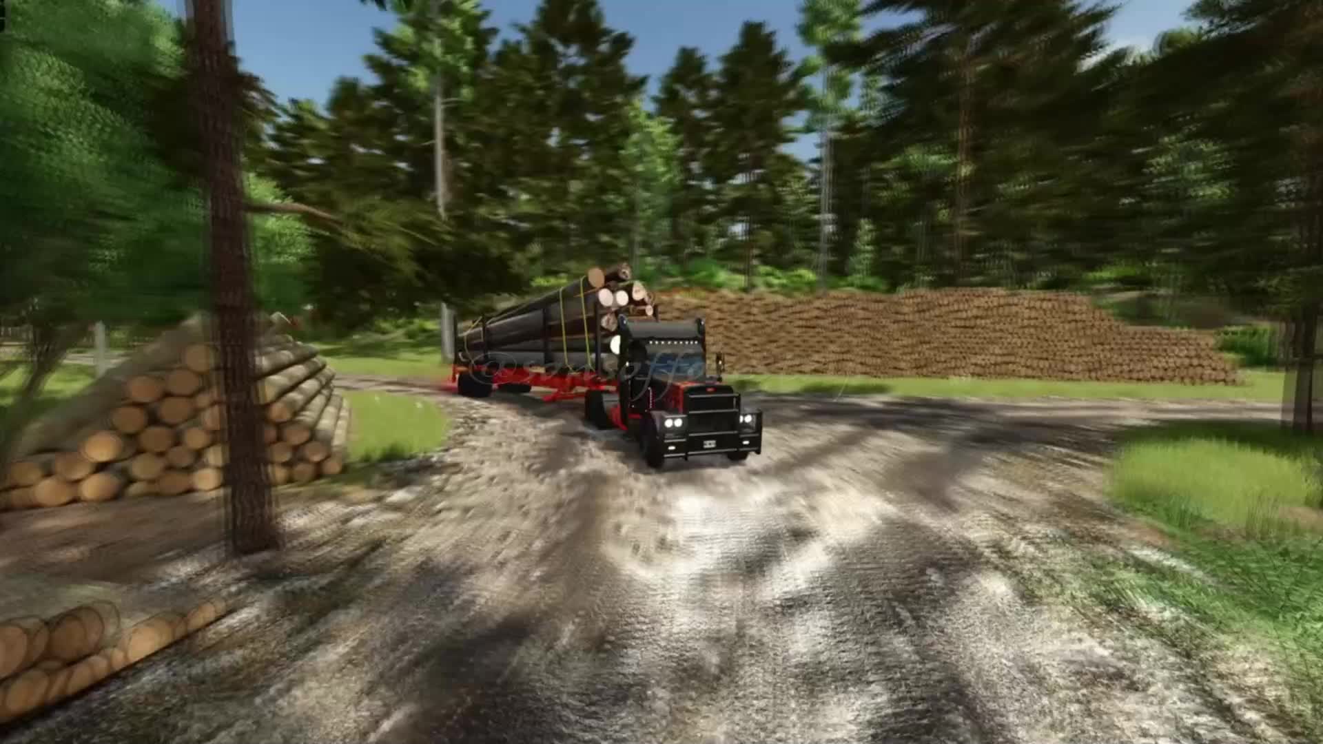 @SONS OF FORESTRY