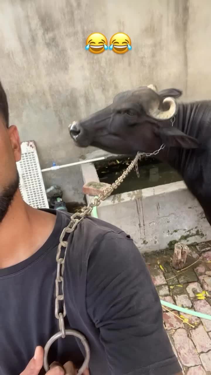 @Yeh Kali Kali ankhe 👀