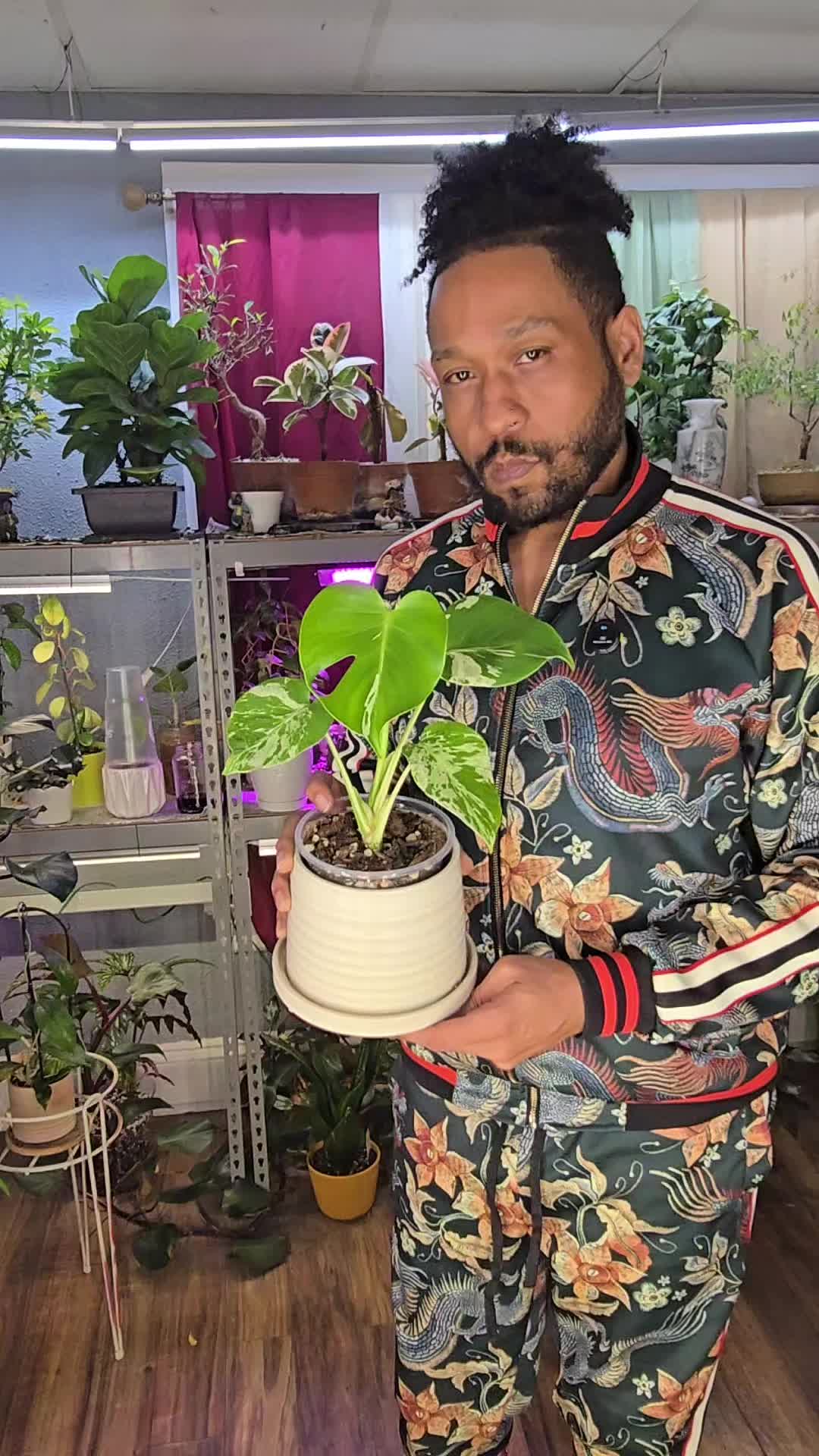 @JT - BigEGOPlants