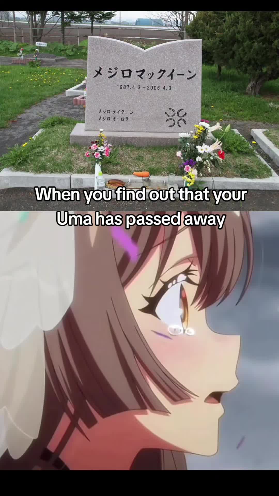 @Silence Suzuka