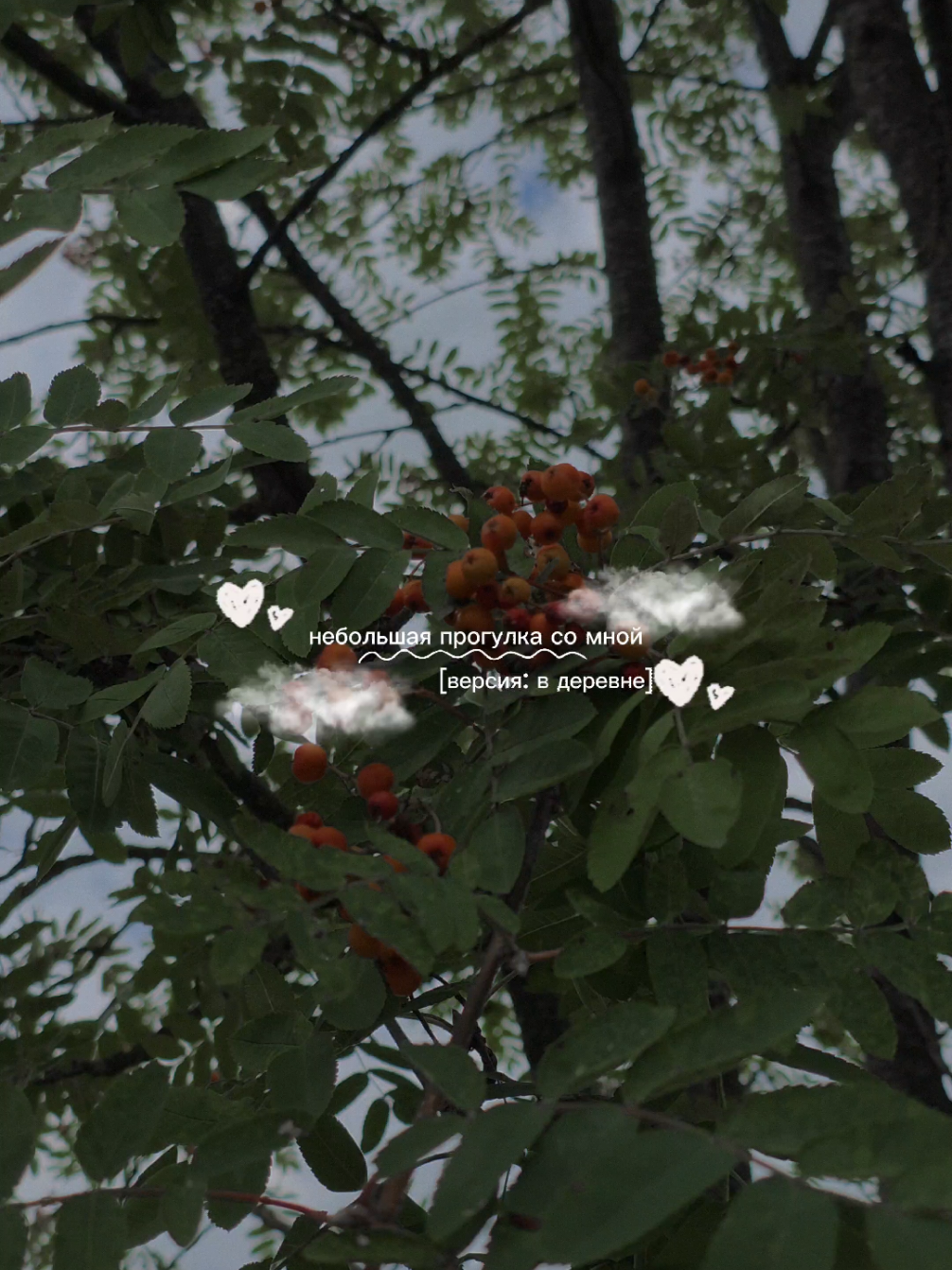 @альва ⋆.˚☾
