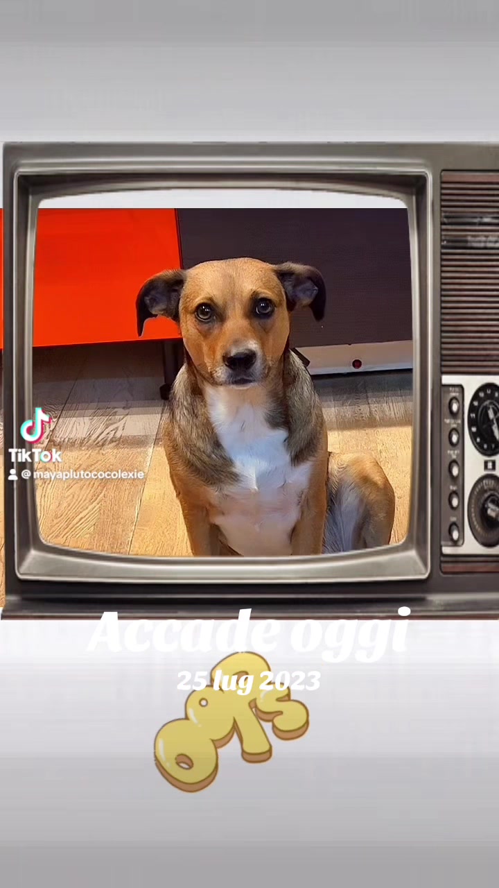 @Gra_Lagra_👑