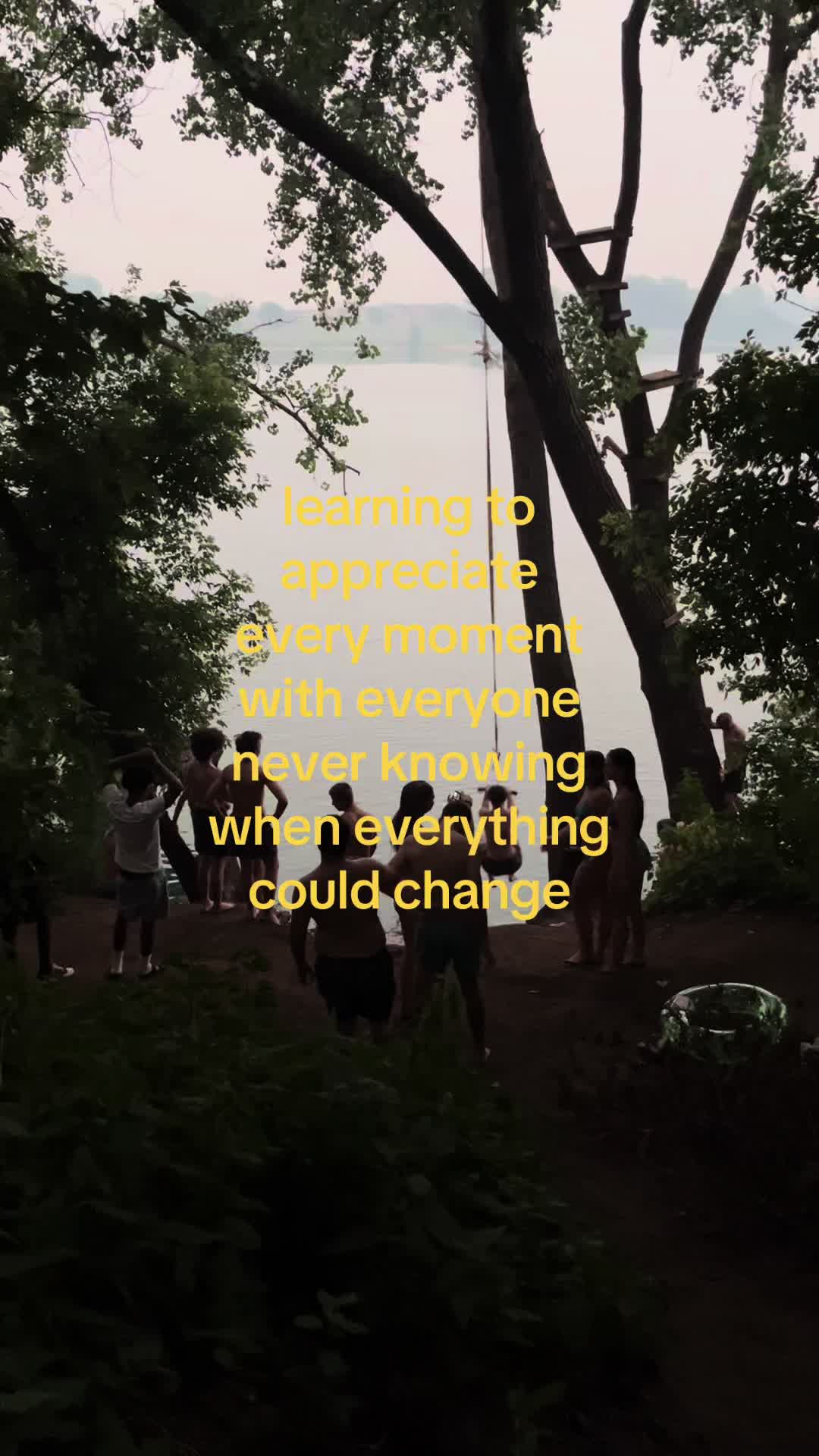 @🦢