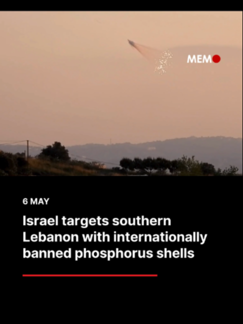 @Middle East Monitor