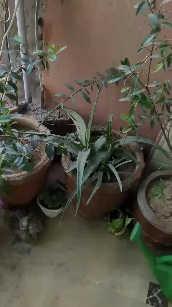 @Bloom & Bite �