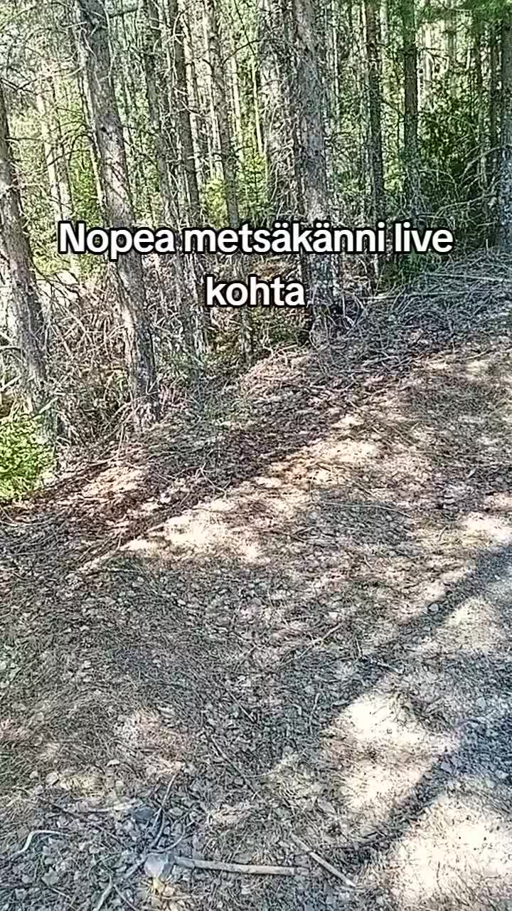 @LEMPEÄ JÄTTI