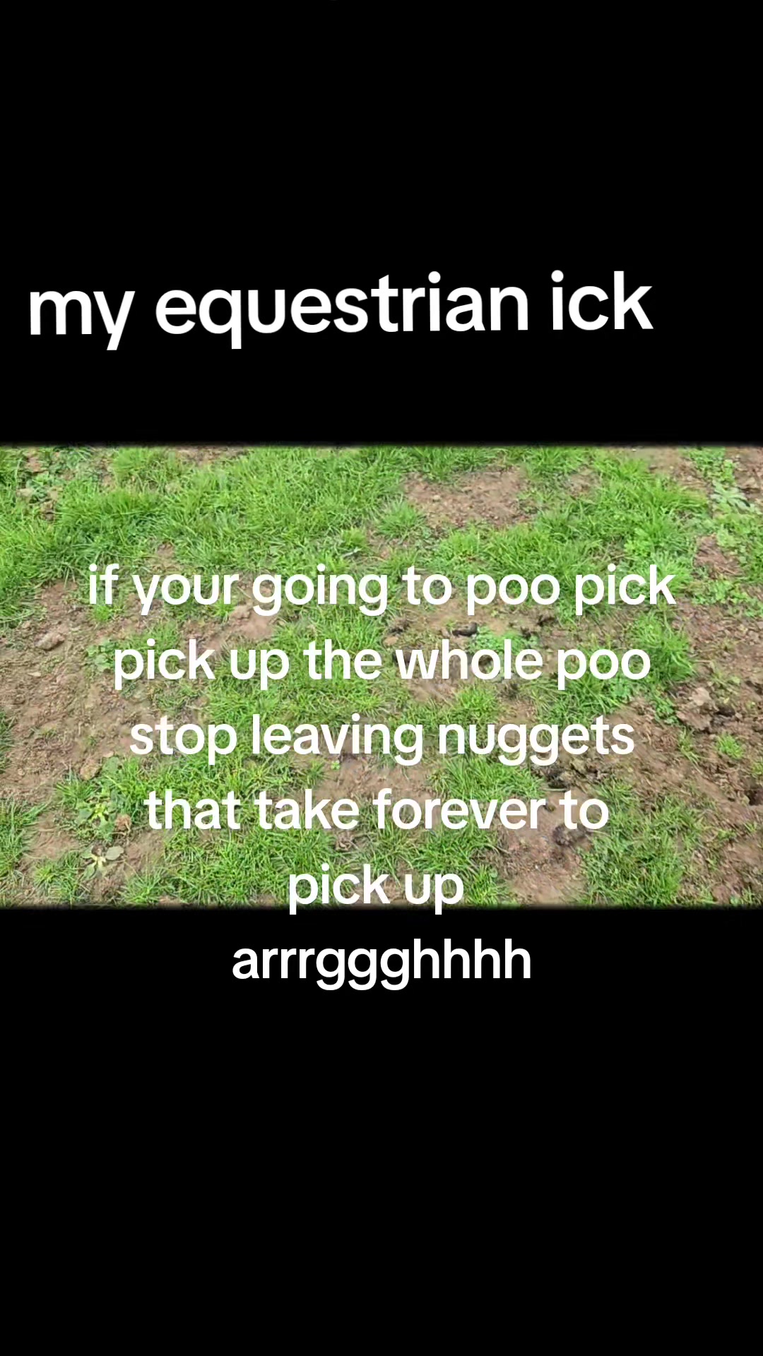 @ponymidlifecrisis