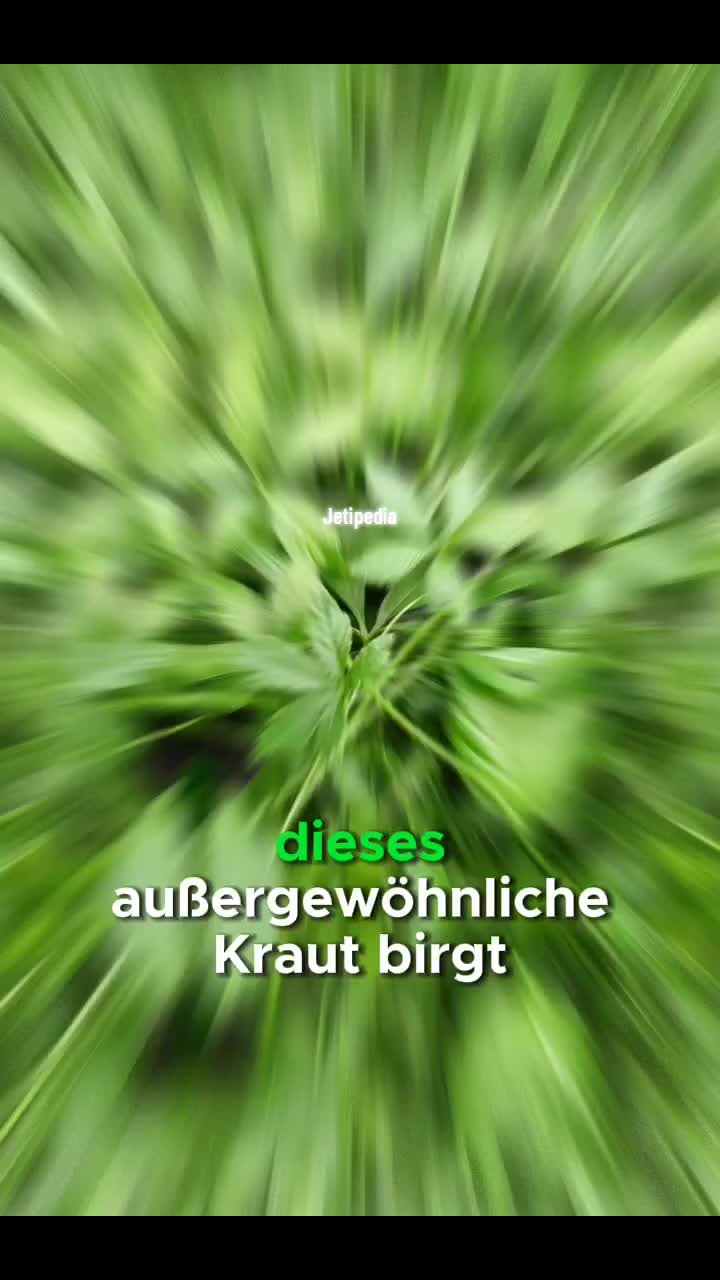 @DerJet