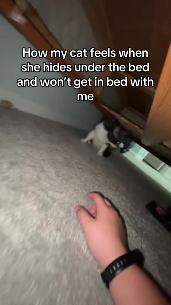 @eliza